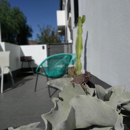 Piedranegra, Apartamento Completo Con Patio, Terraza Y Bbq 로달킬라르 외부 사진